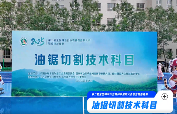 威头条丨技能竞赛项目科普②~油锯切割技术